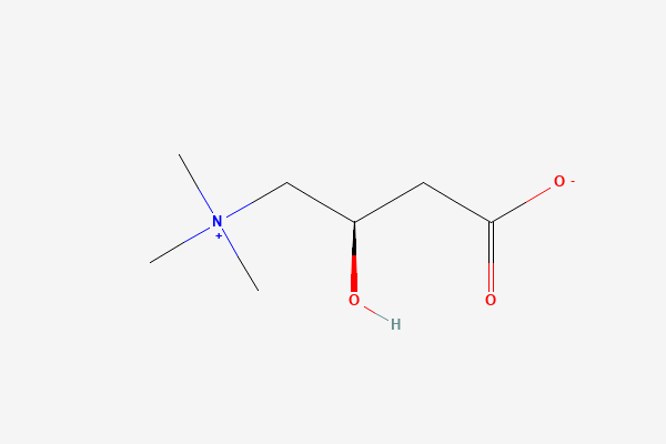 L-carnitine 2D chemical structure