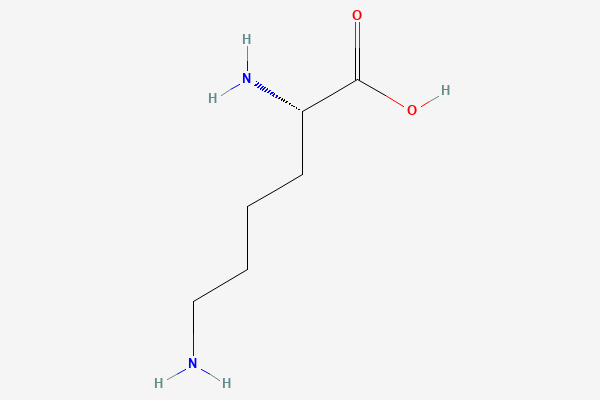 L-Lysine 2D chemical structure