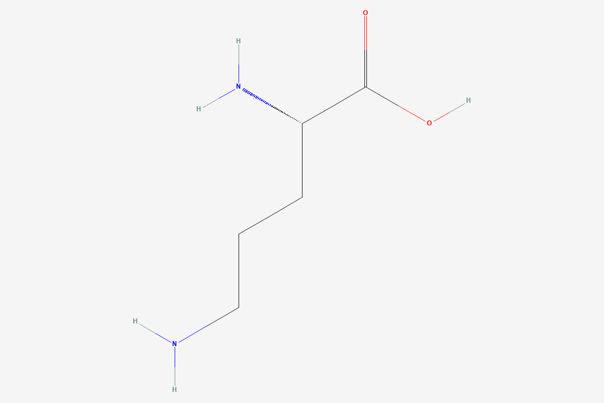 L-Ornithine 2D chemical structure